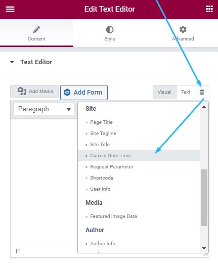 Elementor Dynamic Content Feature for WordPress